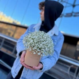 Миниатюра 5