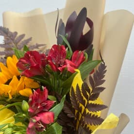 Миниатюра 5