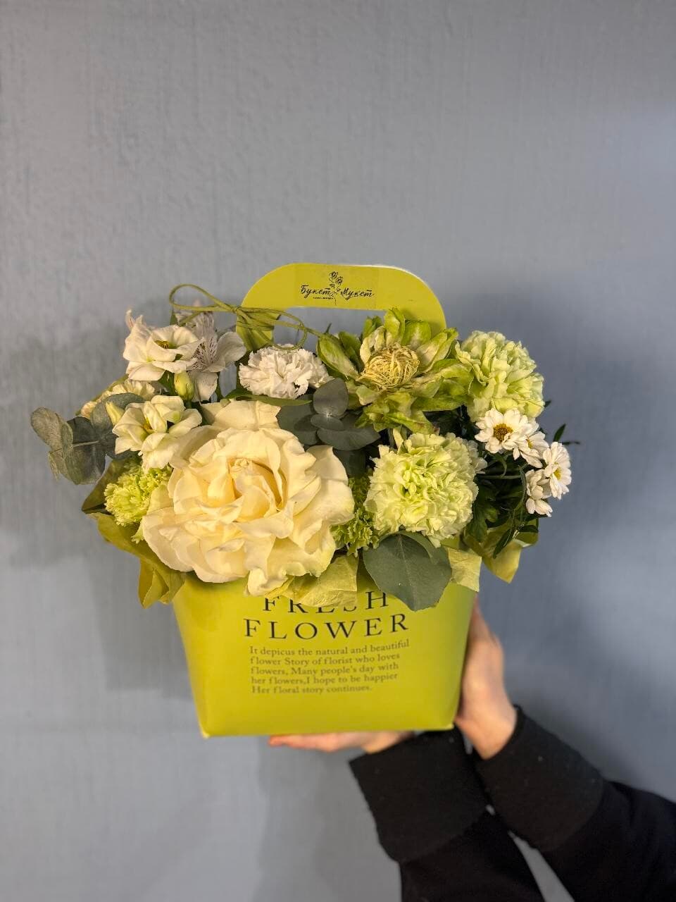 Композиция 9 SENO