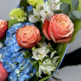 Миниатюра 3