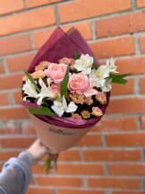 Миниатюра 1