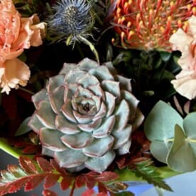 Миниатюра 4