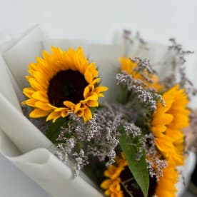 Миниатюра 7