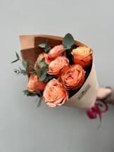 Миниатюра 2