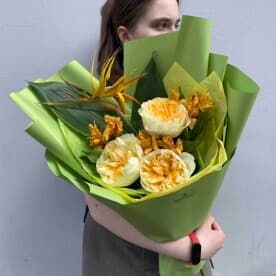 Миниатюра 1